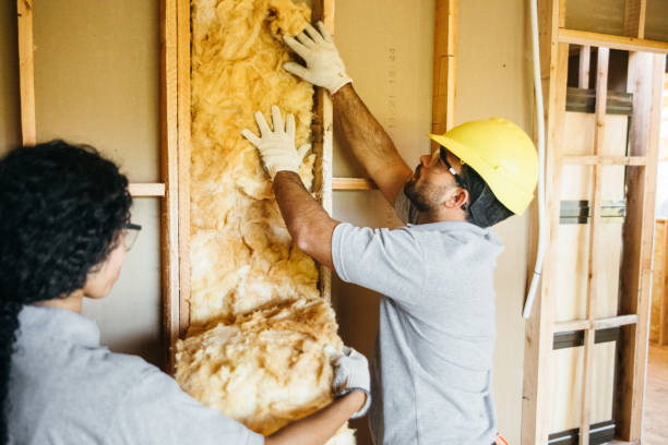 Best Insulation for New Construction  in Donalsonville, GA